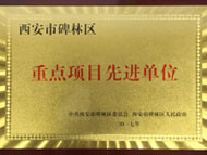 文化中心被碑林区政府评为重点项目先进单位