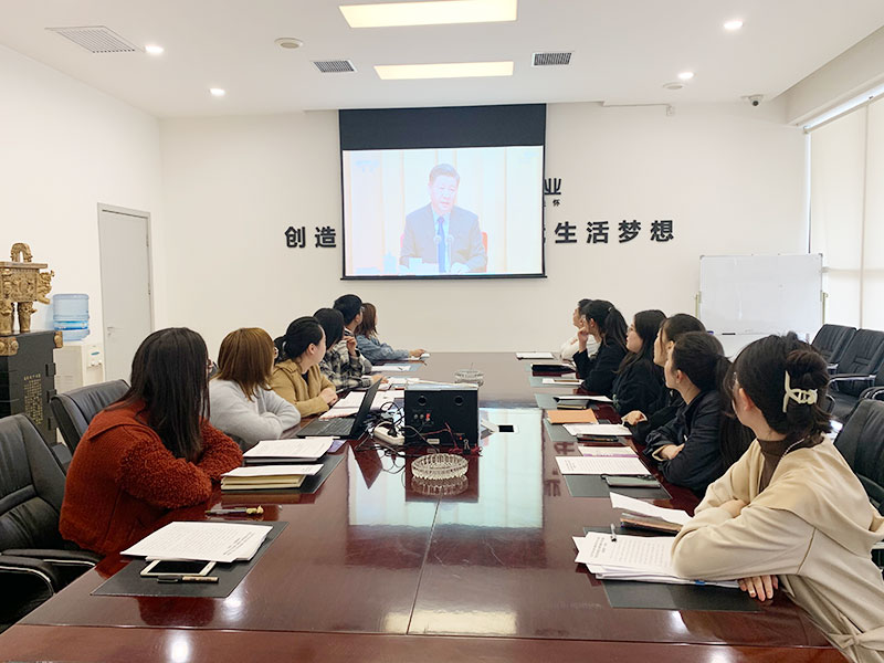 金泰恒业团委举办“学党史、强信念、跟党走”青年理论学习座谈会