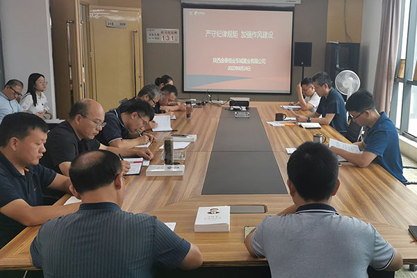 严守纪律规矩，加强作风建设 东城置业在行动