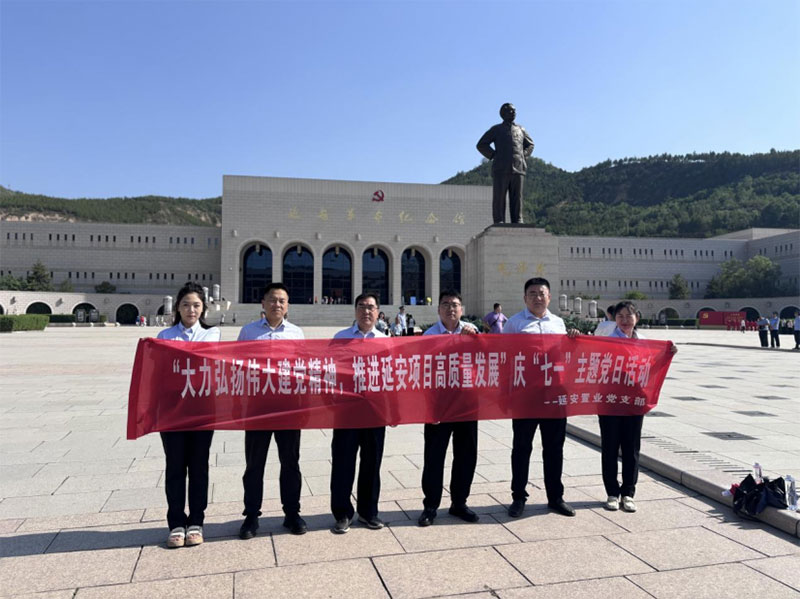 延安置业党支部 “大力弘扬伟大建党精神，推进延安项目高质量发展”主题党日活动