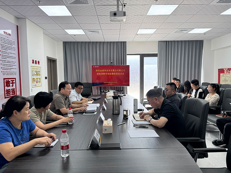 金泰恒业召开延安置业招标采购专项监督检查进点会