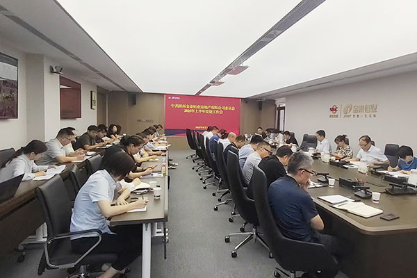 金泰恒业召开2025年上半年党建工作会