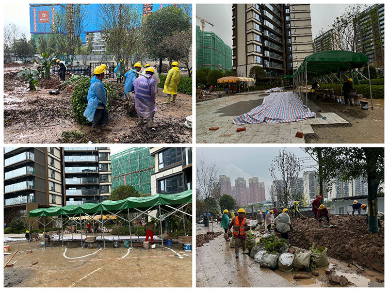   ȫԸ̩Ŀ԰־۹꼾ƽʩʵ